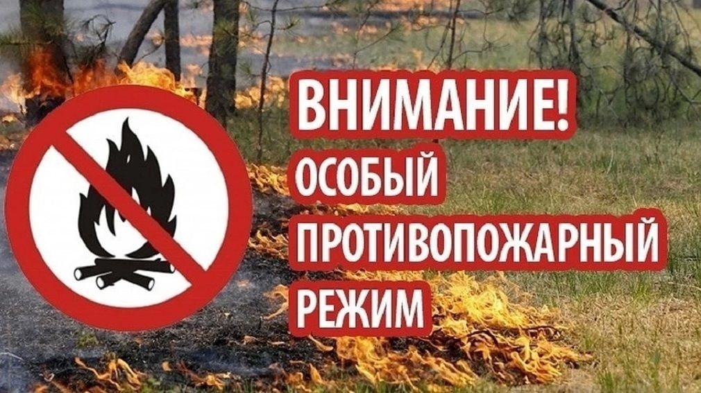 Установлен особый противопожарный режим в период с 1 апреля по 1 июля 2025 года.