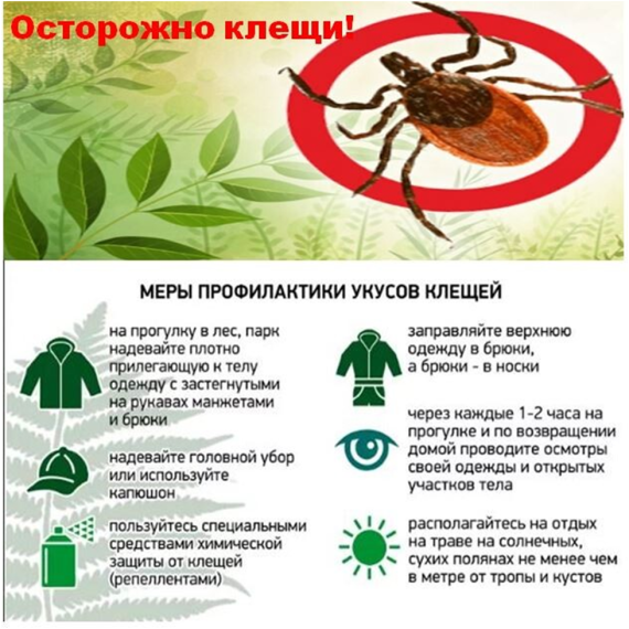 Осторожно клещи!. Осторожно клещи!.