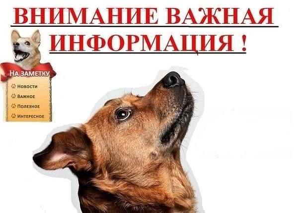 Важная информация из Ульяновской области. Важная информация из Ульяновской области.