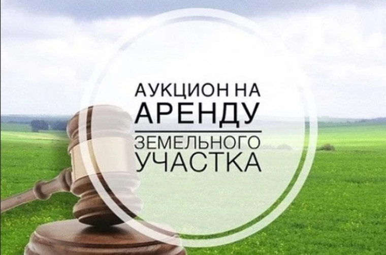 Проведение аукциона в электронной форме. Проведение аукциона в электронной форме.